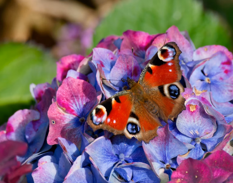 Podróże po najpiękniejszych ogrodach botanicznych